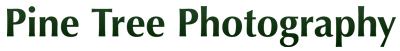 PTP Logo