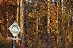 Chadbourne Tree Farms